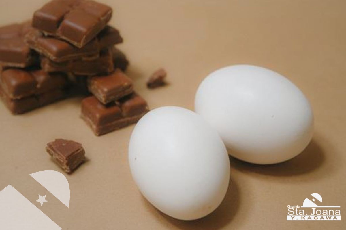 Equilibrio entre chocolates da páscoa e ovos