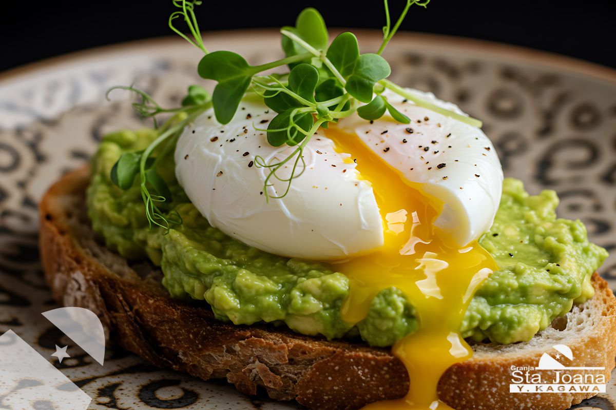 Ovo com abacate e pão