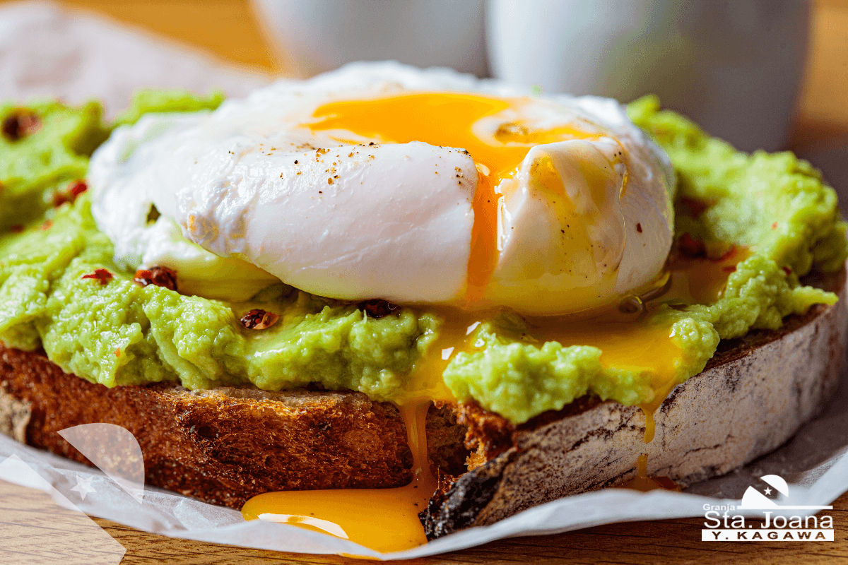 Ovos Pochê com Abacate e Torrada Integral